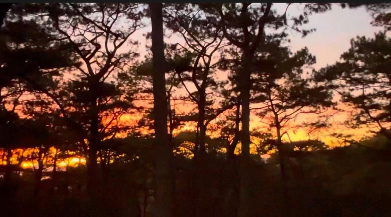 Campjohnhay Forest Estate Baguio City Extérieur photo